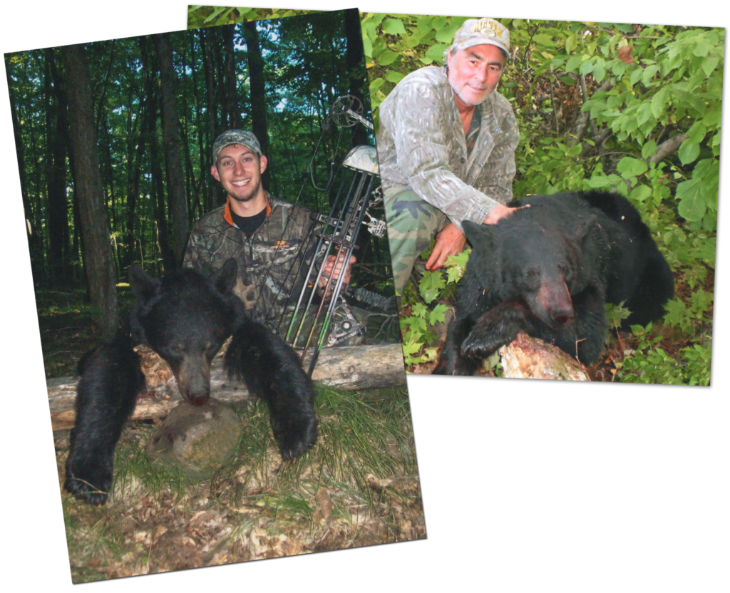 Wisconsin Bear Hunting Outback Guide Service of Bayfield County Black Bear Hunting Guide for